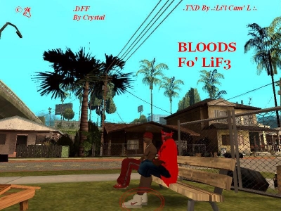 Sneaker Bloods